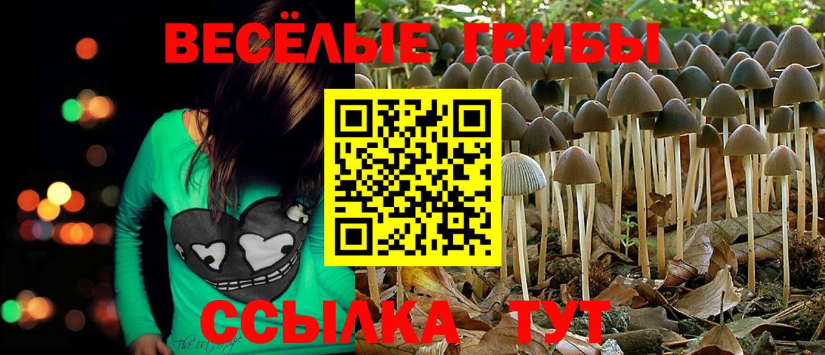 Псилоцибиновые грибы Cubensis  Галлюциногенные грибы ЛСД  Волжск  Вход с VPN 