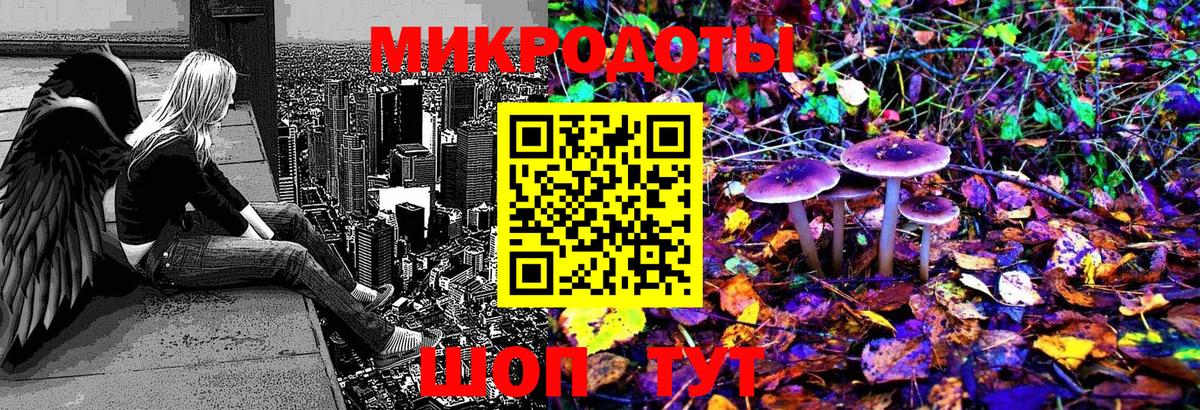Галлюциногенные грибы Psilocybe Волжск
